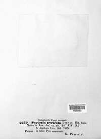 Image Associated With the Occurrence